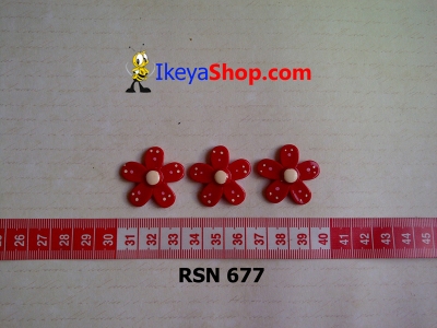 rsn 677  large2